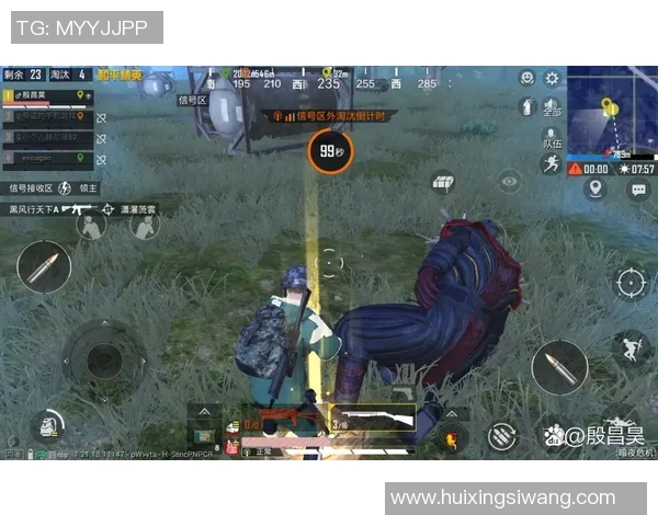 与赵丽畅聊和平精英的成长历程与未来展望